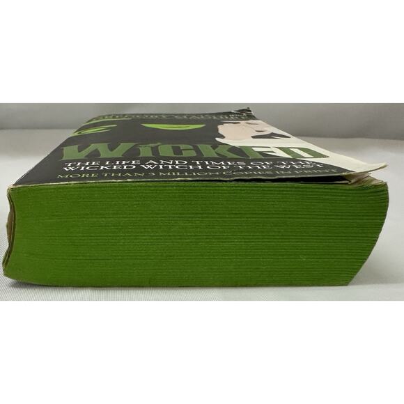 2007 PB Wicked Gregory Maguire Wicked Witch of the West OZ Sprayed Green edges - Picture 4 of 8